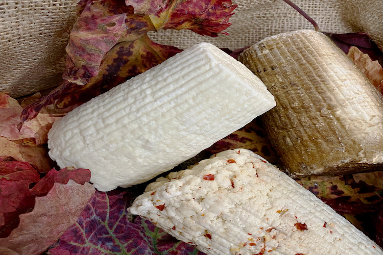 La ricotta secca prodotto ottenuto dalla ricottatura del siero della lavorazione di formaggi di pecora, salato a secco.